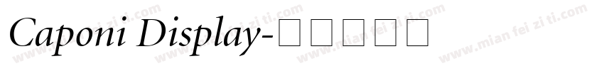 Caponi Display字体转换
